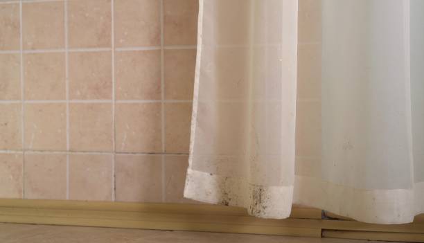Best Mold Remediation for Rental Properties  in Washington, GA