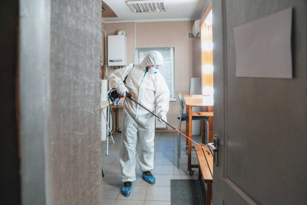 Mold Remediation for Rental Properties in Washington, GA